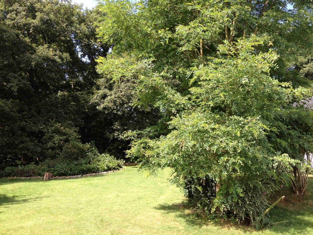 Roulotte Du Petit Bois Villa Theillement Bilik gambar